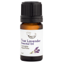 True Lavender essential oil AMRITA, 5 ml