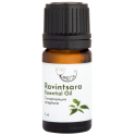 Ravintsara essential oil AMRITA, 5 ml