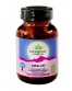 Food supplement "Amalaki" ORGANIC INDIA, 60 caps.