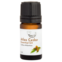 Atlas Cedar essential oil AMRITA, 5 ml