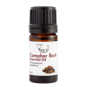 Wild Camphor Bark Essential oil AMRITA, 5 ml