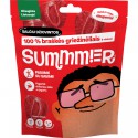 Freeze-dried Strawberries Slices SUMMER, 11 g