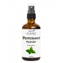 Peppermint hydrolat EKO PLANET, 100 ml