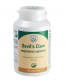 Maisto papildas Devil’s Claw Herbals, 120 vnt., 500 mg..