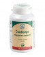 Cordyceps Supplement, Herbals 500mg N120