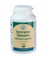 Supplement Gymnema Sylvestre, Herbals 500mg, 120 Capsules