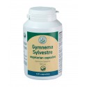 Uztura bagātinātājs Gymnema Sylvestre, Herbals 500mg, 120 kapsulas