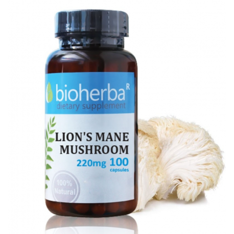 LION’S MANE Mushroom Extract – Bioherba, 100 Capsules