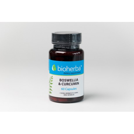 Boswellia and Curcumin 400 mg, Bioherba, 60 Capsules