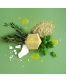 Natural Solid Shampoo NEEMPH, 65 g, SOLIDU