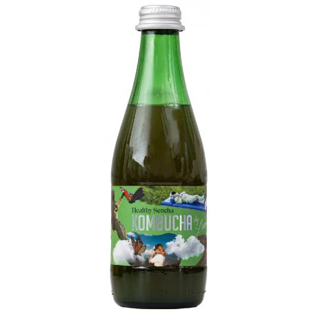 Ekologiška Kombucha Healthy Sencha, 330 ml – Kombucha by Laurent