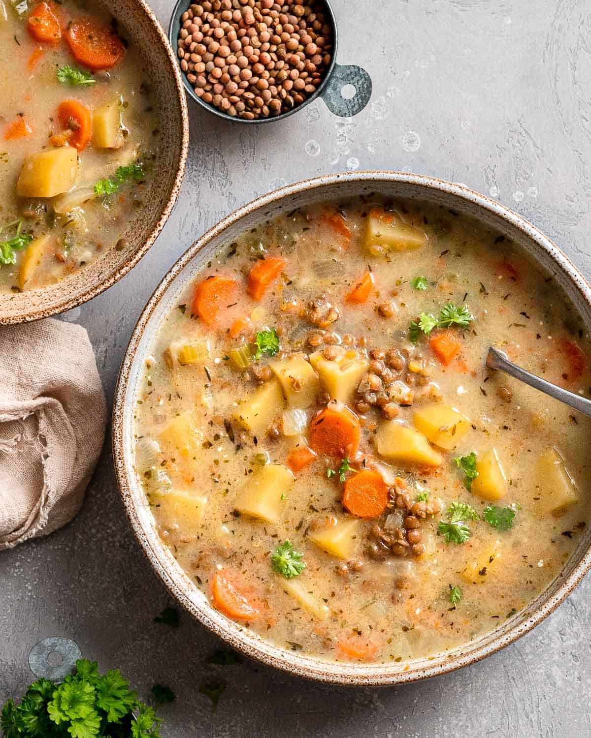 Vegetarian Lentil and Vegetable Soup